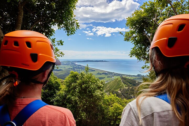Half Day Zipline Adventure in Kaikoura