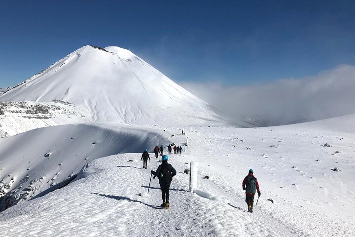 Premium Tongariro Crossing Guided Group Walk