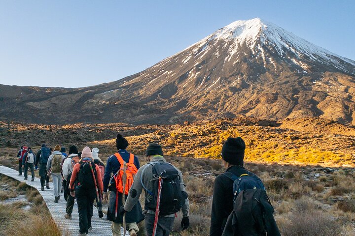 Half Day Tongariro Alpine Guided Group Walk