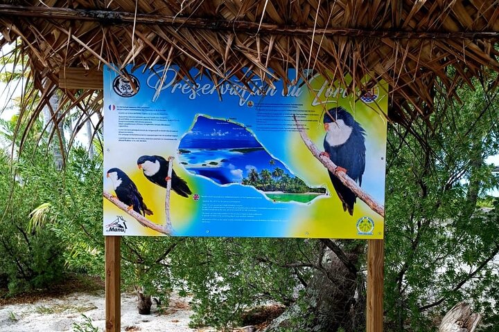 BLUE LAGOON | Eco-tour | Snorkeling Avatoru | Secret Green Lagoon