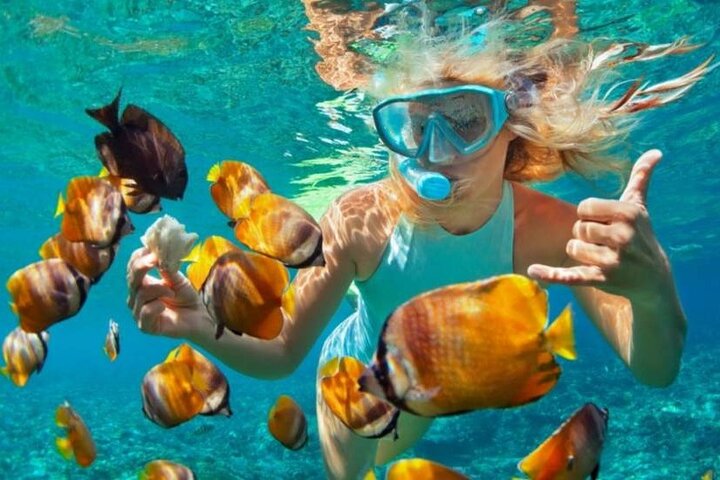 Bali Blue Lagoon Snorkeling with Lunch & Private Hotel Transfer
