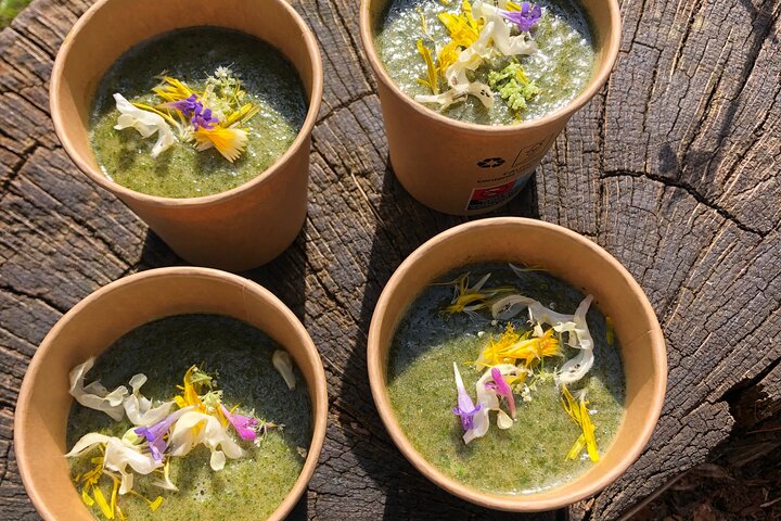Food Tour Haarlem | Guided & Walking | Old City