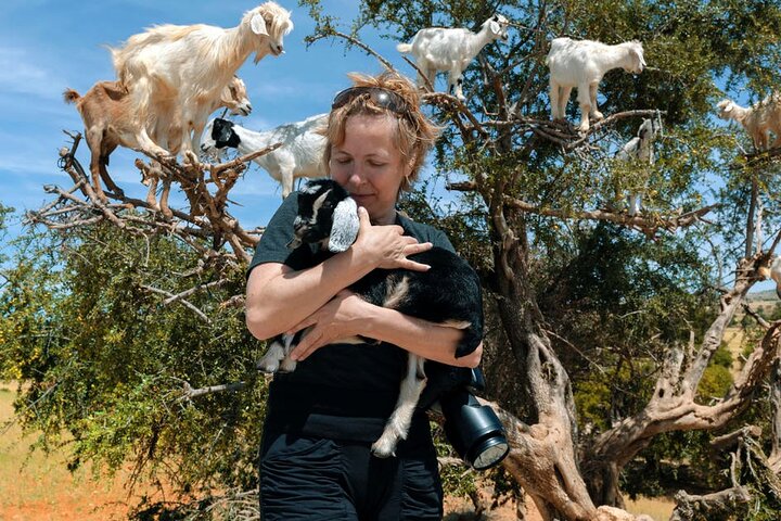 Agadir 3-in-1 Tour: Goats on Trees Souk El Had Crocoparc Tickets
