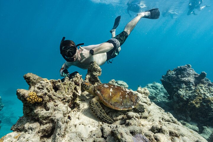 Ariki Adventures: Premium Sea Scooter Turtle Adventure