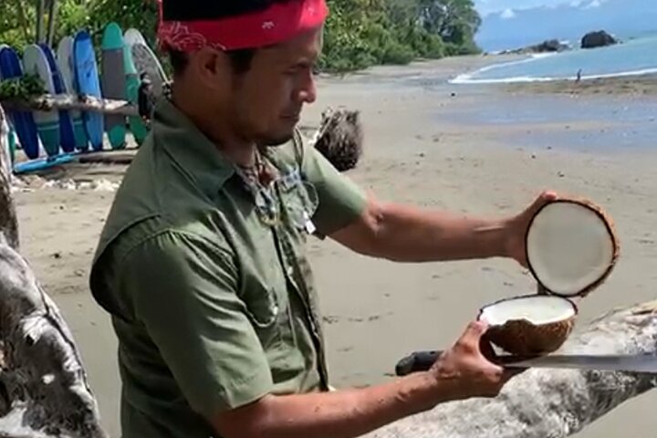 4 Hour Private Guided Tour in Osa Jungle