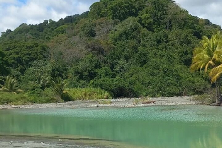 4 Hour Private Guided Tour in Osa Jungle