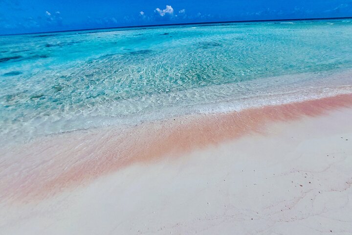 REEF ISLAND | private island | pink sand | natural swimming pools