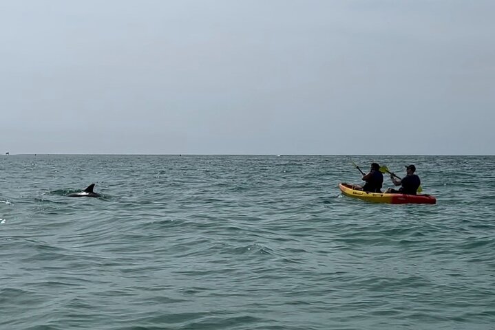 The Island Tour