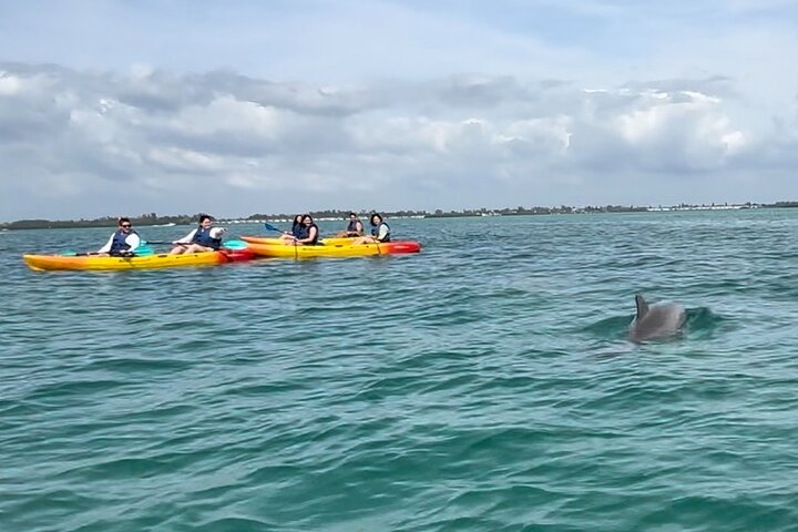 The Island Tour