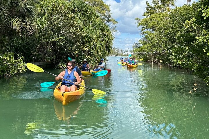 The Island Tour