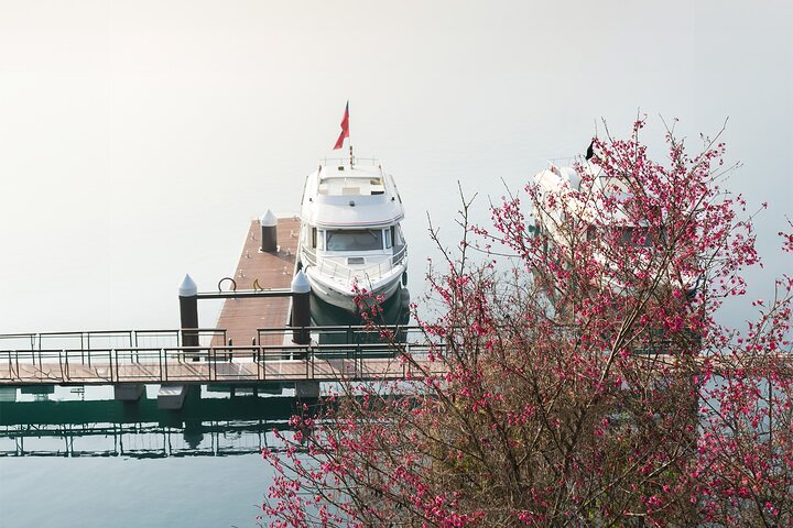 Exclusive 3-Day Sun Moon Lake & Alishan Private Tour