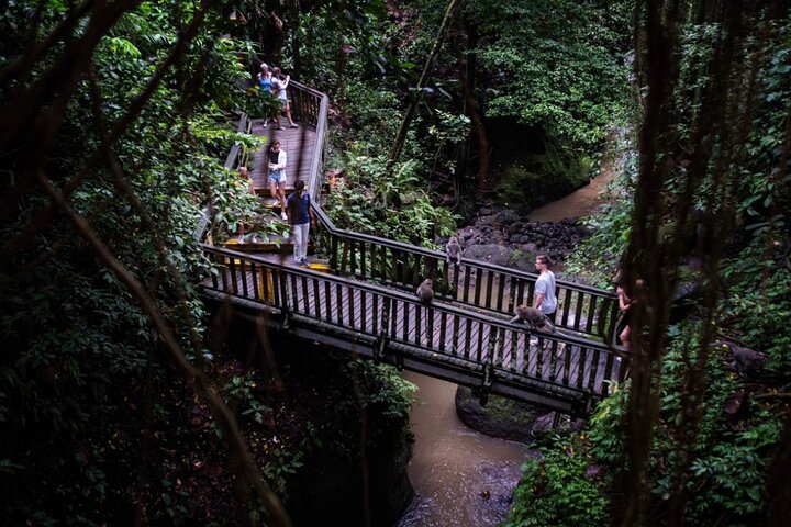 Ubud ATV Ride Through Elephant Cave, Monkey Forest, Waterfall