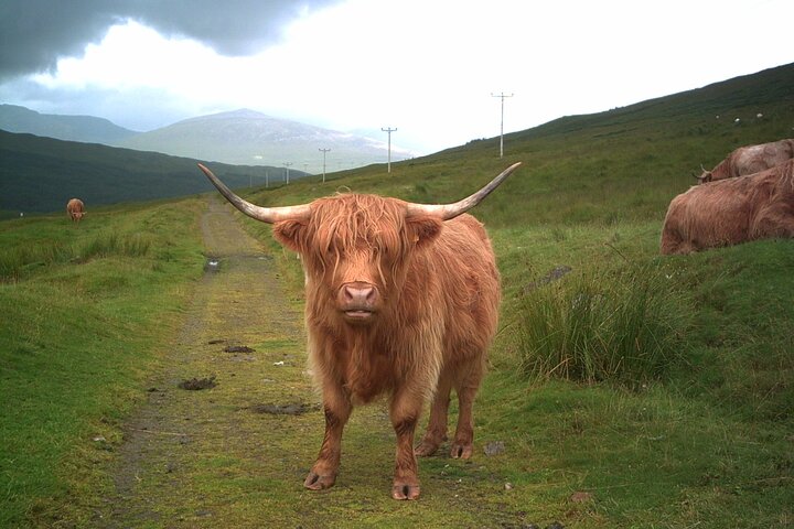 Loch Ness, Glencoe, the Highlands Guided Day Tour from Edinburgh