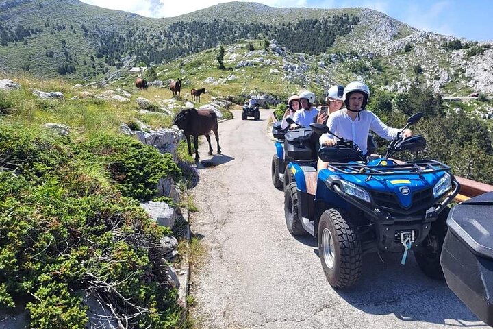 Skywalk Biokovo ATV Quad Tour
