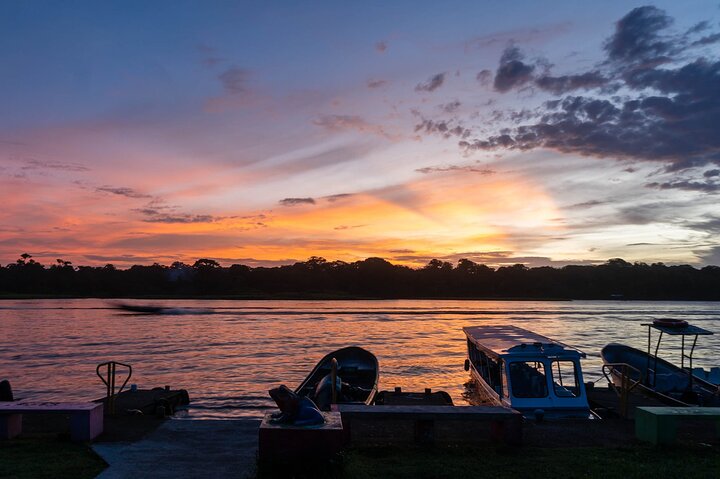 Tortuguero : Spawning Tour + Canoe Tour + Night Jungle Tour