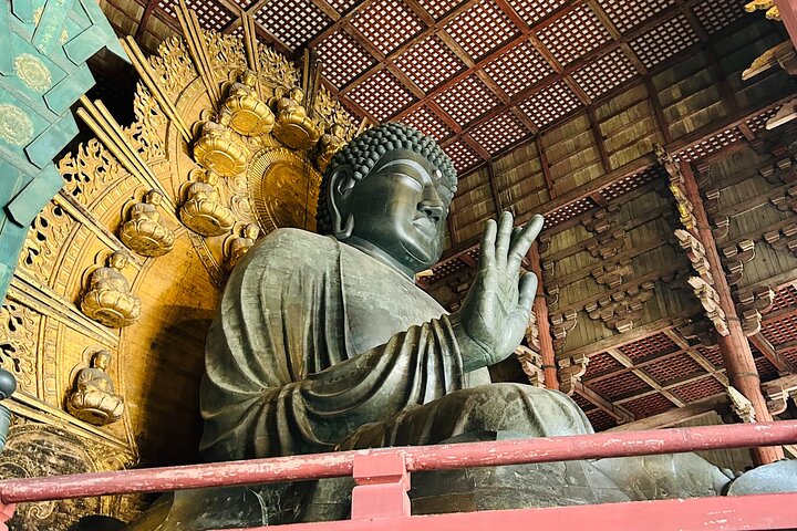 Nara Early Morning Tour Kyoto or Osaka Departure Available