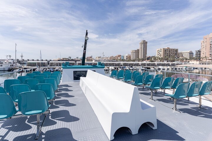 Dolphin watching on a Catamaran in Fuengirola