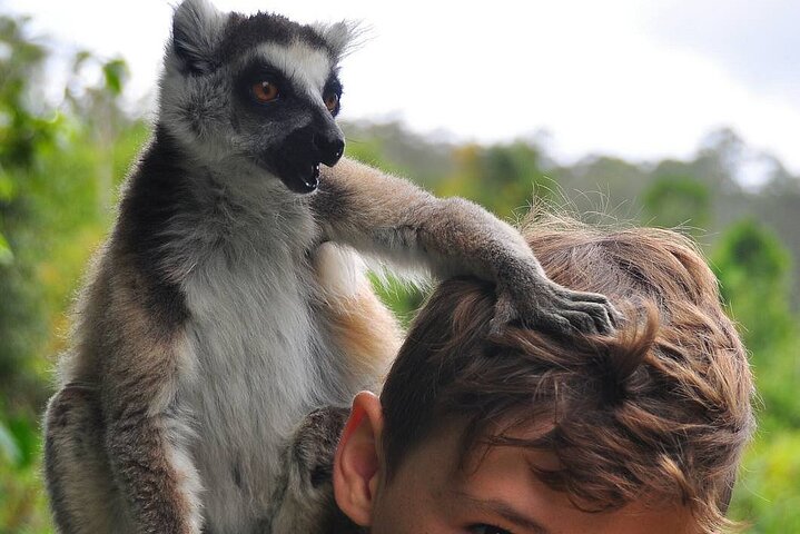 3-Day Private Tour to Andasibe National Park
