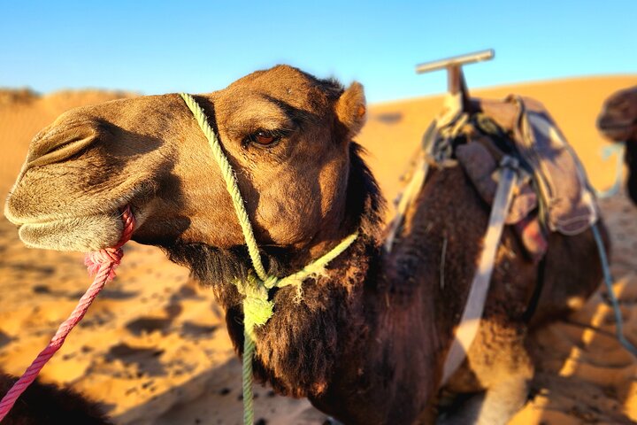 Overnight Experience from Merzouga in Dunes of Erg Chebbi
