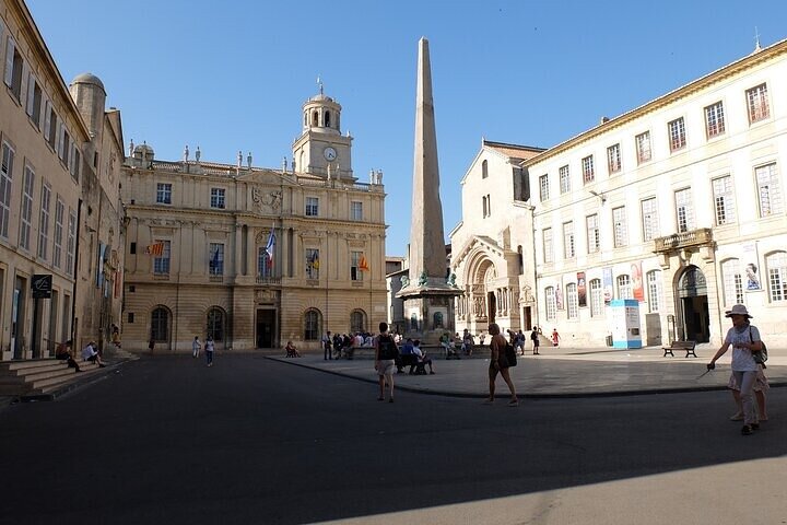 Full Day Private Tour from Arles Nimes or the Alplilles