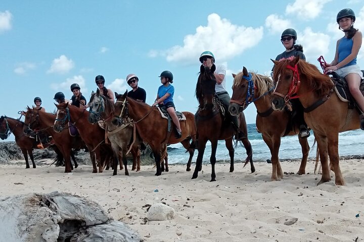 Aruba Ecological & Coastline Horseback Ride with Beach Photo Stop