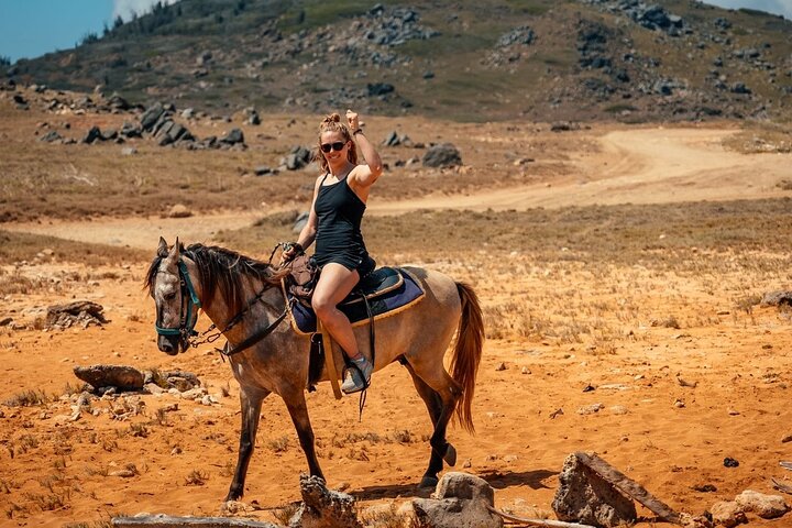 Aruba Ecological & Coastline Horseback Ride with Beach Photo Stop