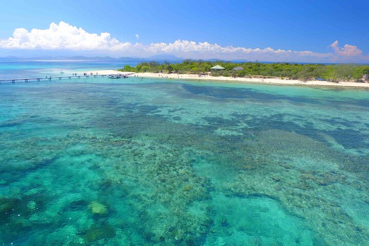 Full Day Nouméa Signal Island Turtle Tour
