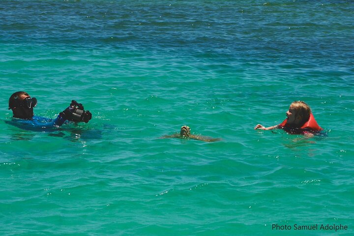 Full Day Nouméa Signal Island Turtle Tour