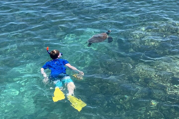Full Day Nouméa Signal Island Turtle Tour