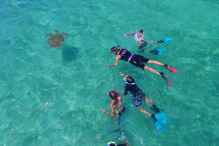 Full Day Nouméa Signal Island Turtle Tour