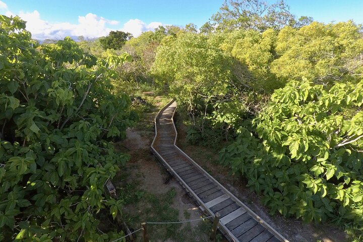 Full Day Nouméa Signal Island Turtle Tour