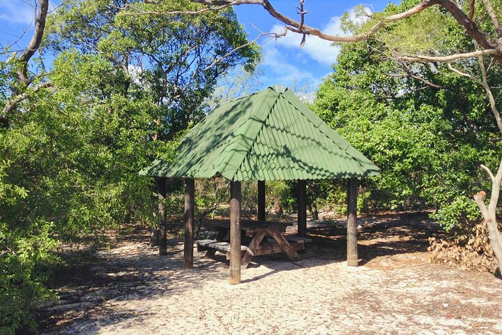 Full Day Nouméa Signal Island Turtle Tour