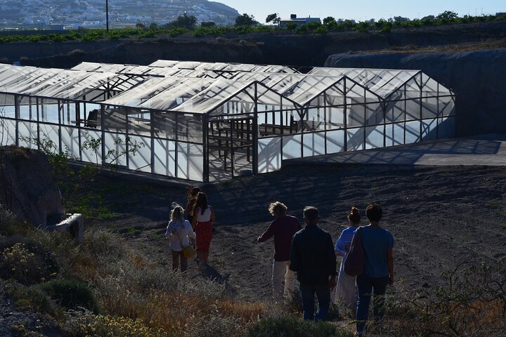 Santorini Family Farm Food & Wine Tour with Cooking Class