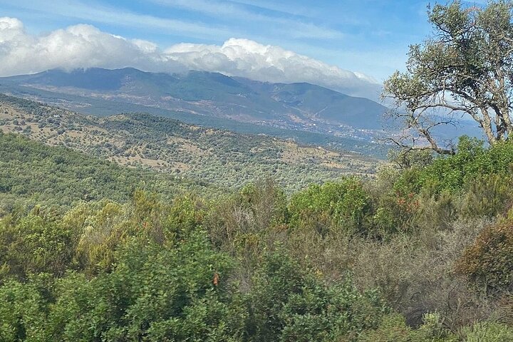 From Chefchaouen: Shared Transfer to Fes or Tangier