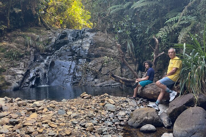 El Quetzal Birdwatching Tour from Cobán:Guatemala's National Bird