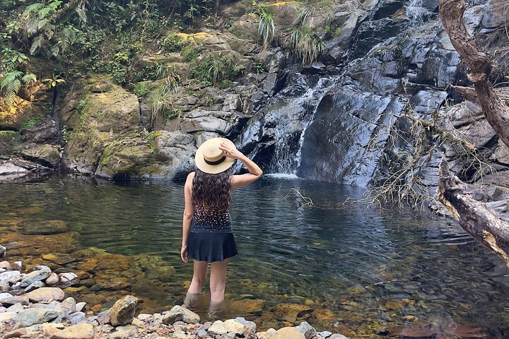 El Quetzal Birdwatching Tour from Cobán:Guatemala's National Bird