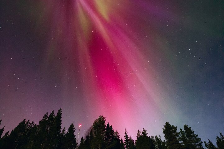 Rovaniemi: Northern Lights Pro Guaranteed - Unlimited Distance