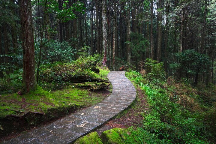 Exclusive 3-Day Sun Moon Lake & Alishan Private Tour