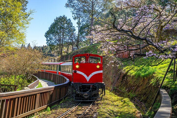 Exclusive 3-Day Sun Moon Lake & Alishan Private Tour