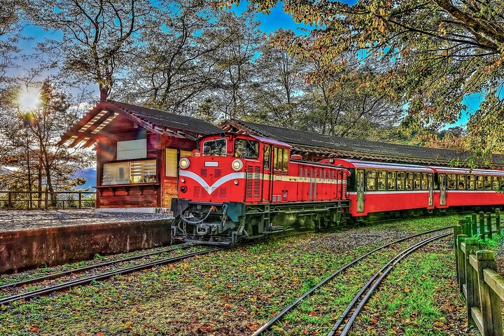 Exclusive 3-Day Sun Moon Lake & Alishan Private Tour
