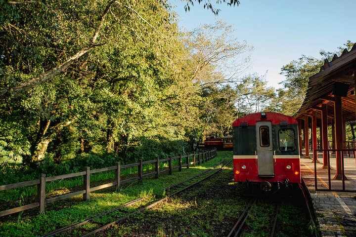 Exclusive 3-Day Sun Moon Lake & Alishan Private Tour