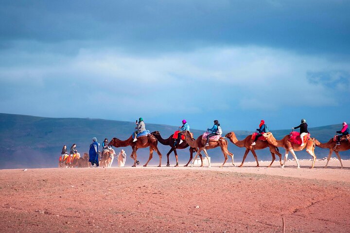Agafay Desert: Dinner Show with Quad Bike and Sunset Camel Ride