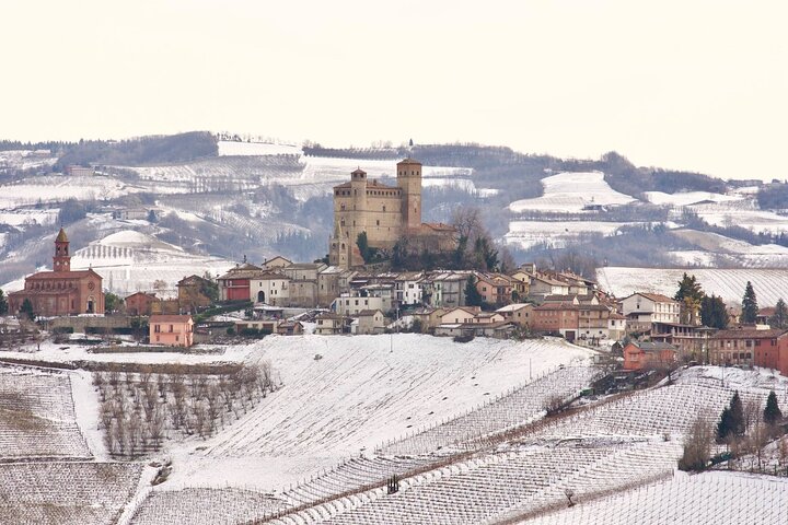 Piedmont Winery Tour: Taste Barolo, Barbaresco & Traditional Food