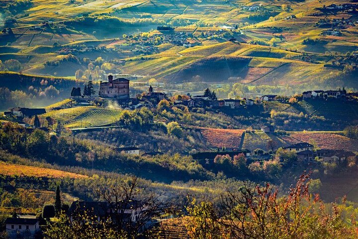 Piedmont Winery Tour: Taste Barolo, Barbaresco & Traditional Food