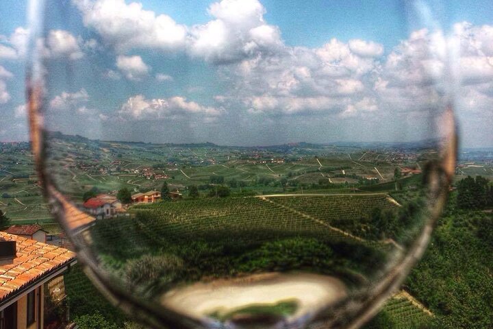 Piedmont Winery Tour: Taste Barolo, Barbaresco & Traditional Food