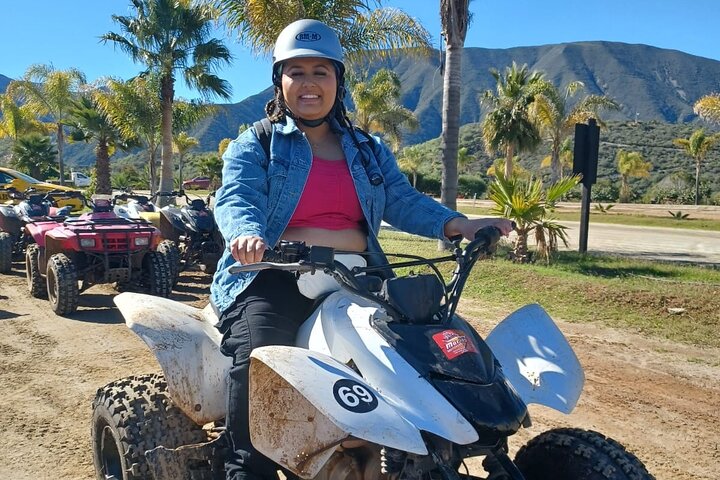 Shore Excursion Ensenada: ATV + Taco & Bufadora options
