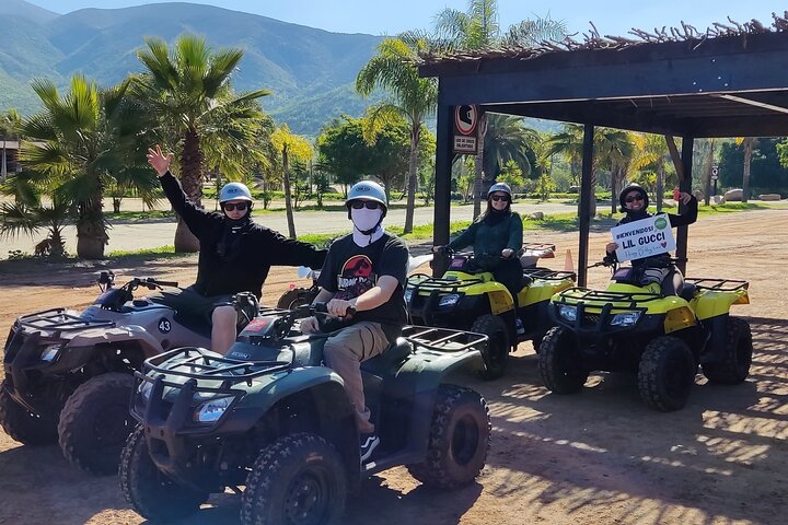 Shore Excursion Ensenada: ATV + Taco & Bufadora options
