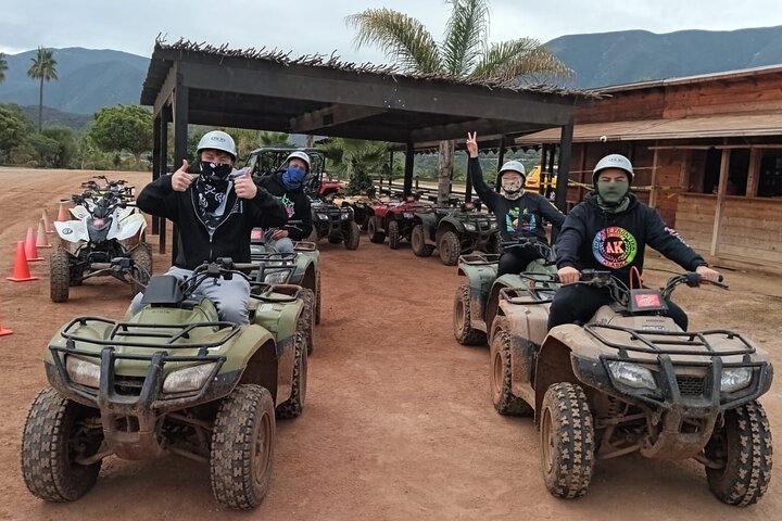 Shore Excursion Ensenada: ATV + Taco & Bufadora options