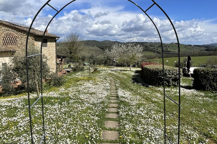 Truffle Hunting in Chianti, pasta class and lunch