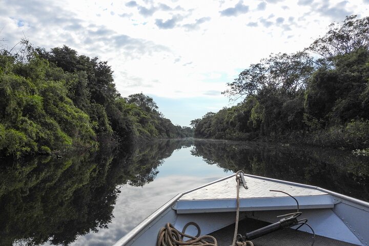 Full day Paraguay River Nature and Wildlife Boat Tour